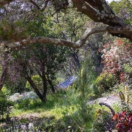 Provenzalische L'equilibre - Mit Meerblick Und Privatem Pool By Riviera Homelife